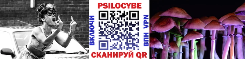 hydra ССЫЛКА Пенза Галлюциногенные грибы Psilocybe